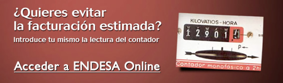 Introducir su lectura de contador en ENDESA Online